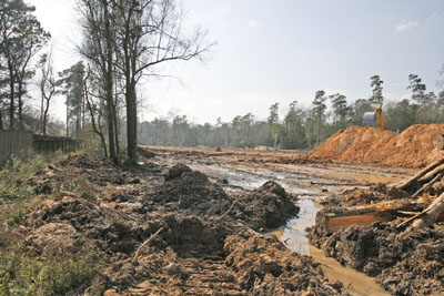 site8